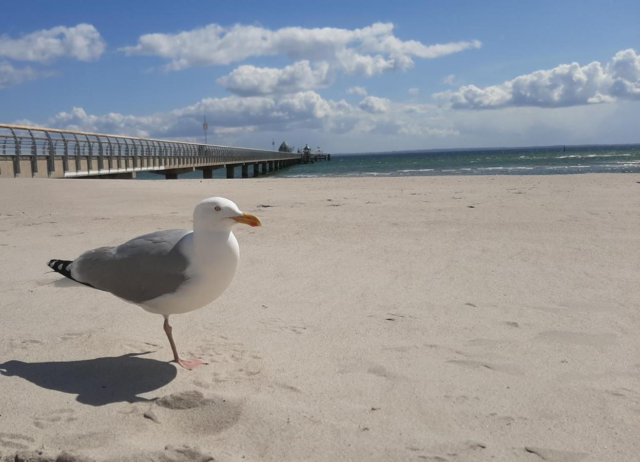 Apartmán Fewo Bernhardt " App.1 " Scharbeutz Exteriér fotografie